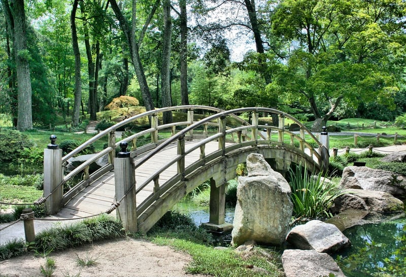 Garden Trellis